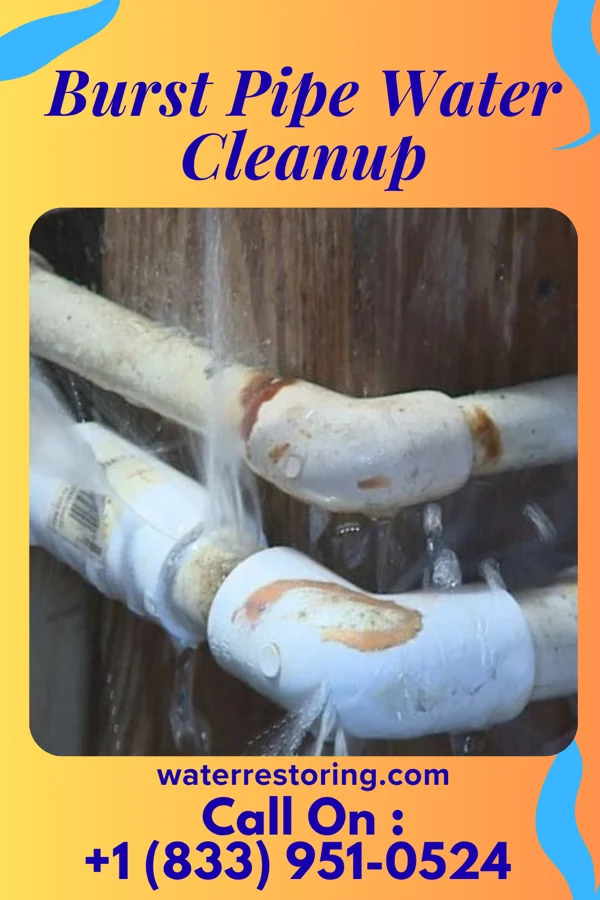 Burst Pipe Water Cleanup in Kingston, MI