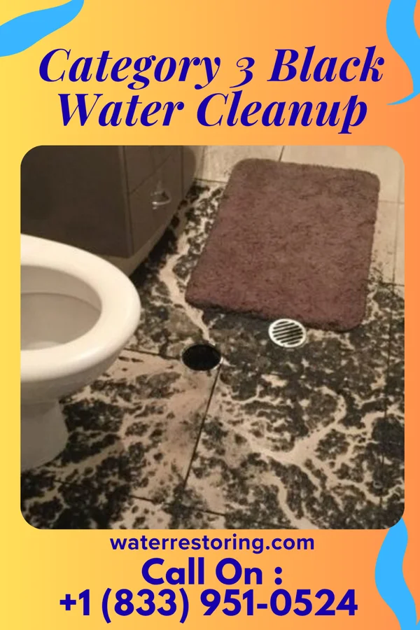 Category 3 Black Water Cleanup in Kingston, MI