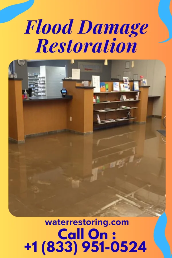 Flood Damage Restoration in Kingston, MI
