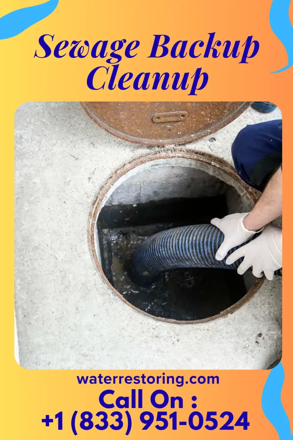 Sewage Backup Cleanup in Kingston, MI